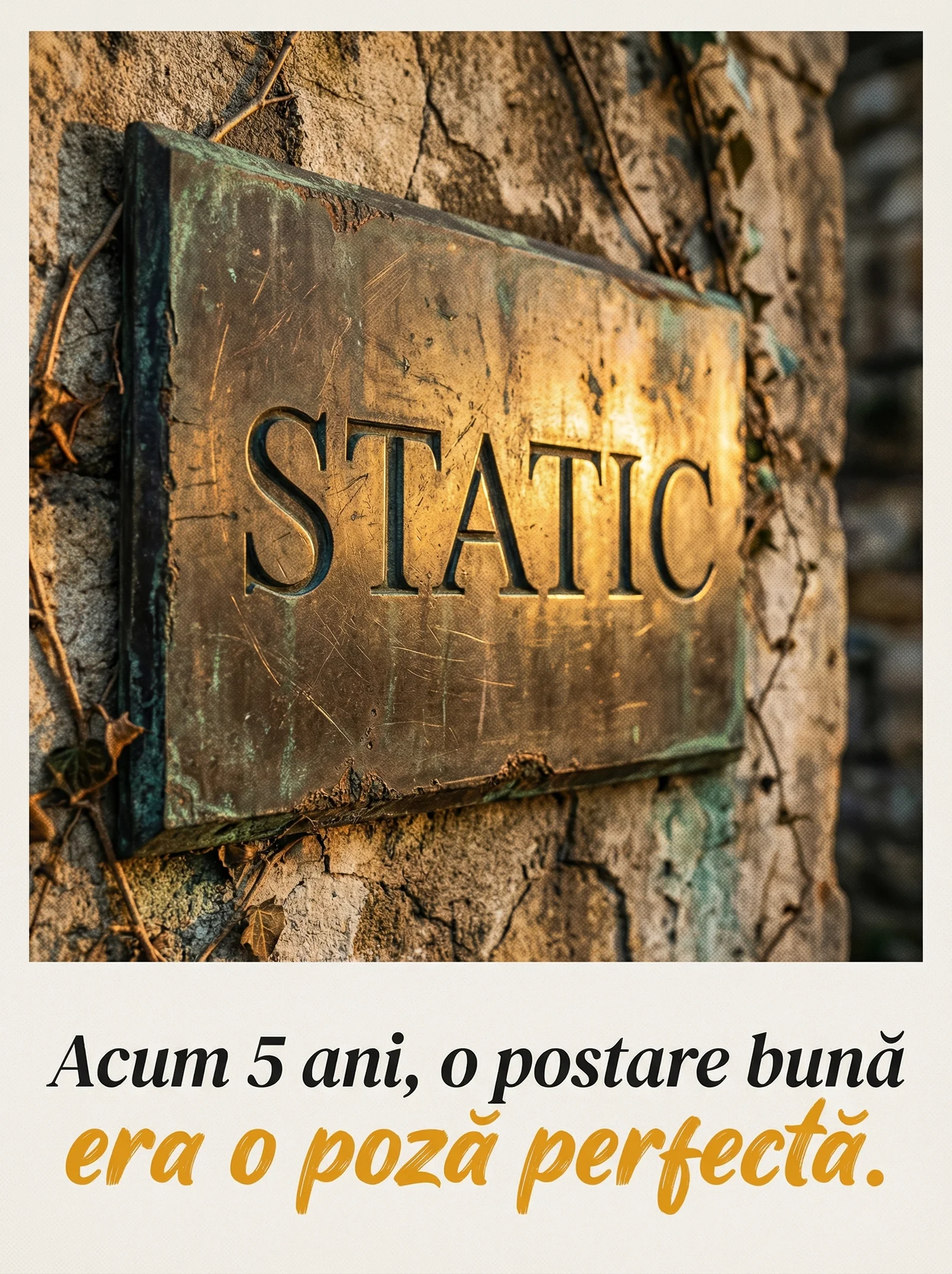 Carusel promoțional i-vory Studio, slide 1 hook deschidere campanie agenție social media București